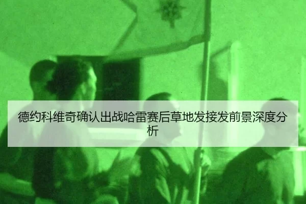 de-yue-ke-wei-qi-que-ren-chu-zhan-ha-lei-sai-hou-cao-di-fa-jie-fa-qian-jing-shen-du-fen-xi-2-202.jpg